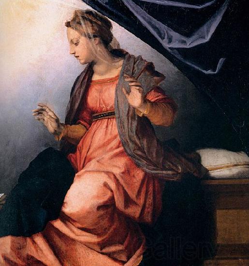 Andrea del Sarto Annunciation Germany oil painting art